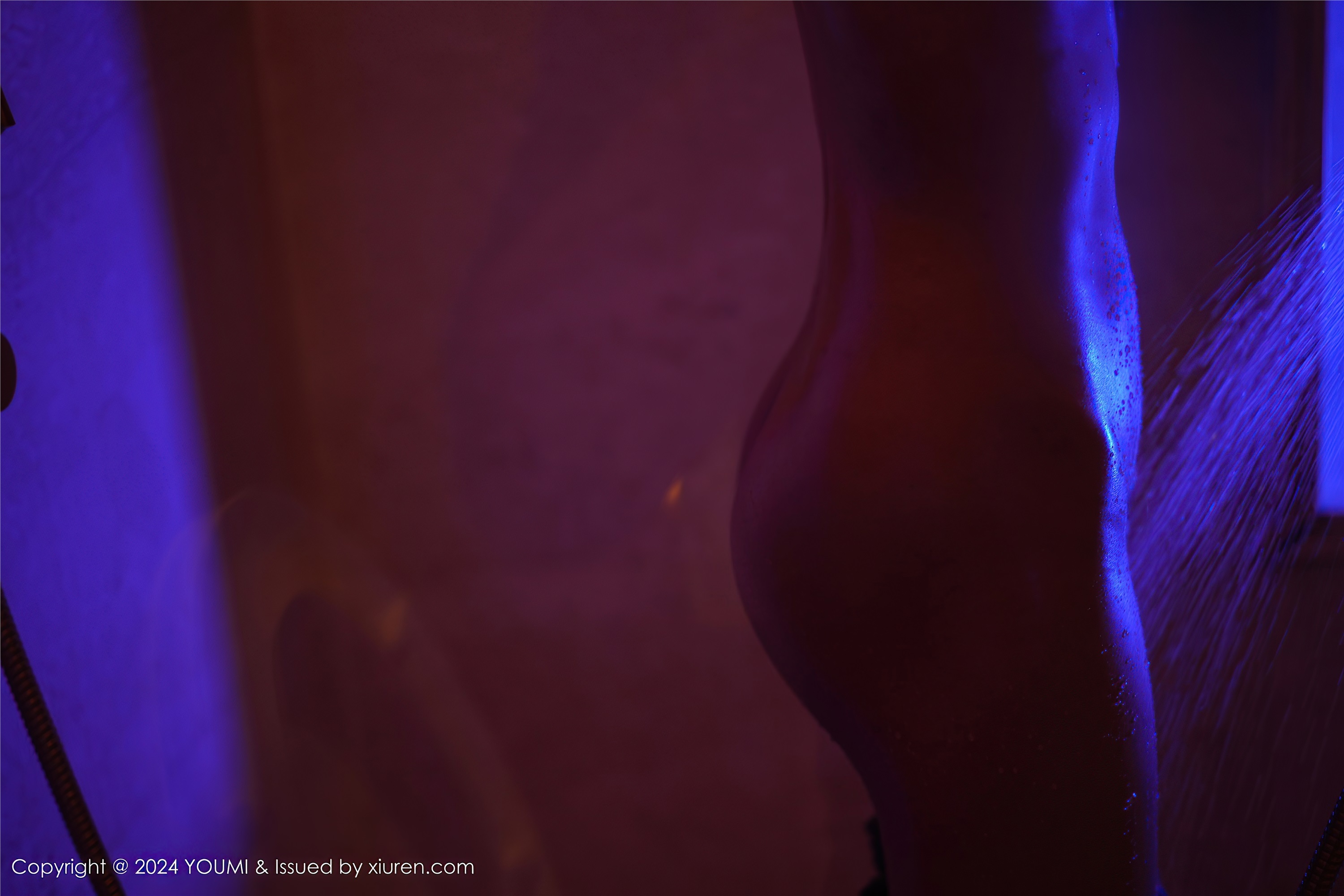 YouMi尤蜜荟 2024.06.18 VOL.1075 赵可欣baby